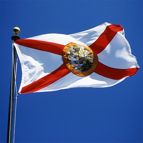 Florida official flag